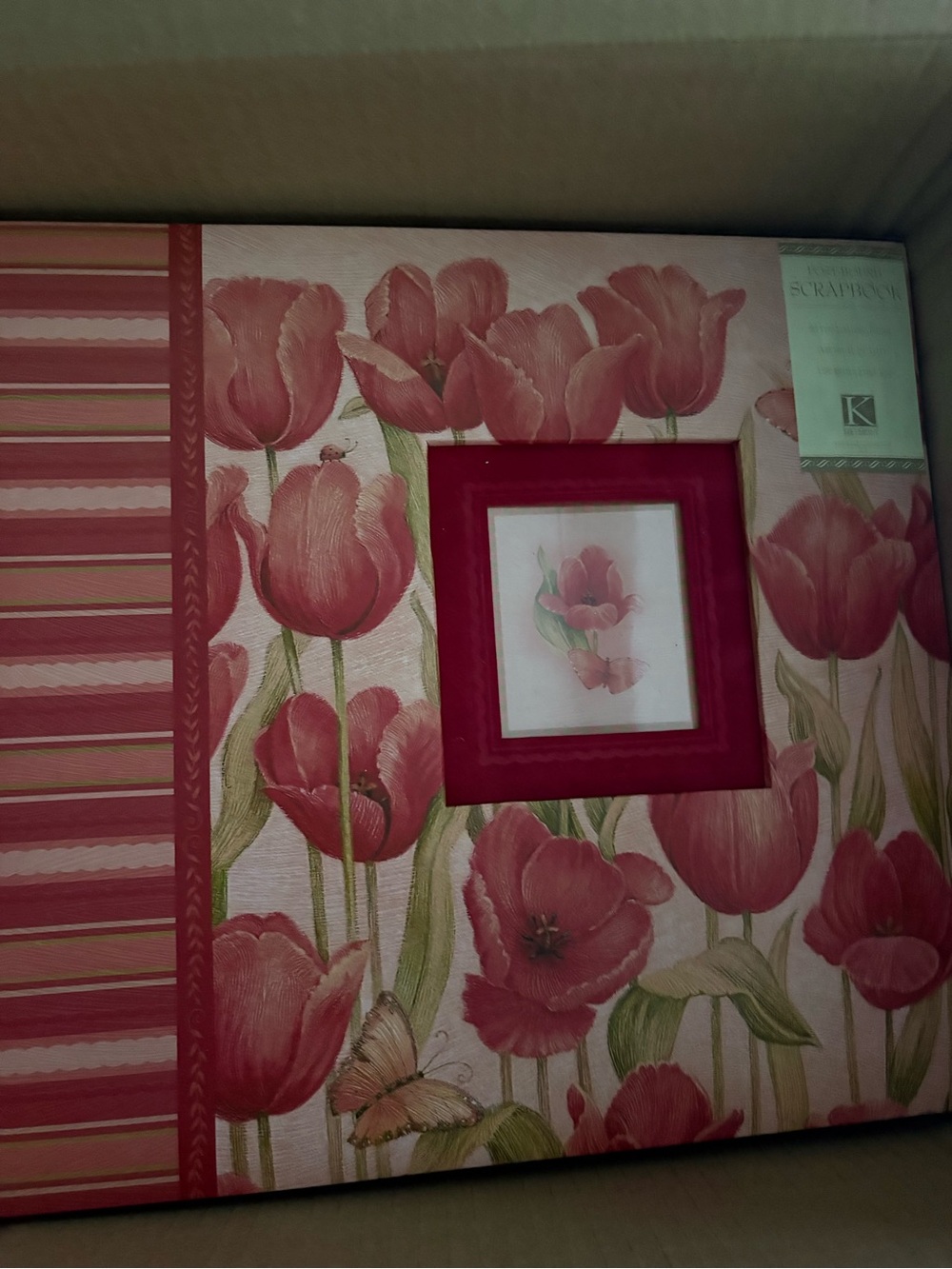 Picture and scrapbook organizer
